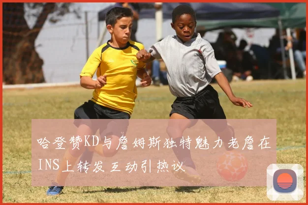 哈登赞KD与詹姆斯独特魅力老詹在INS上转发互动引热议